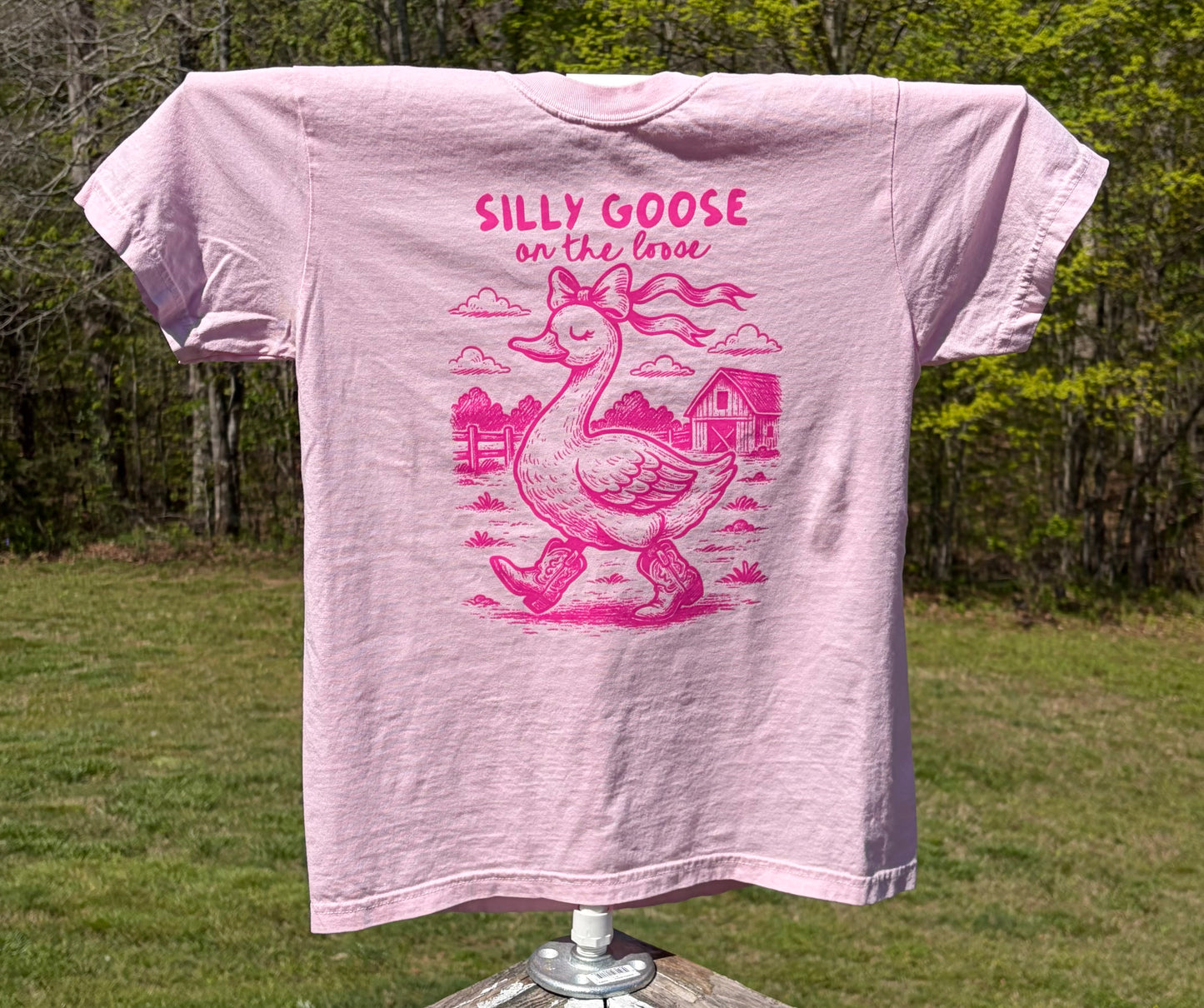 Silly Goose on the Loose