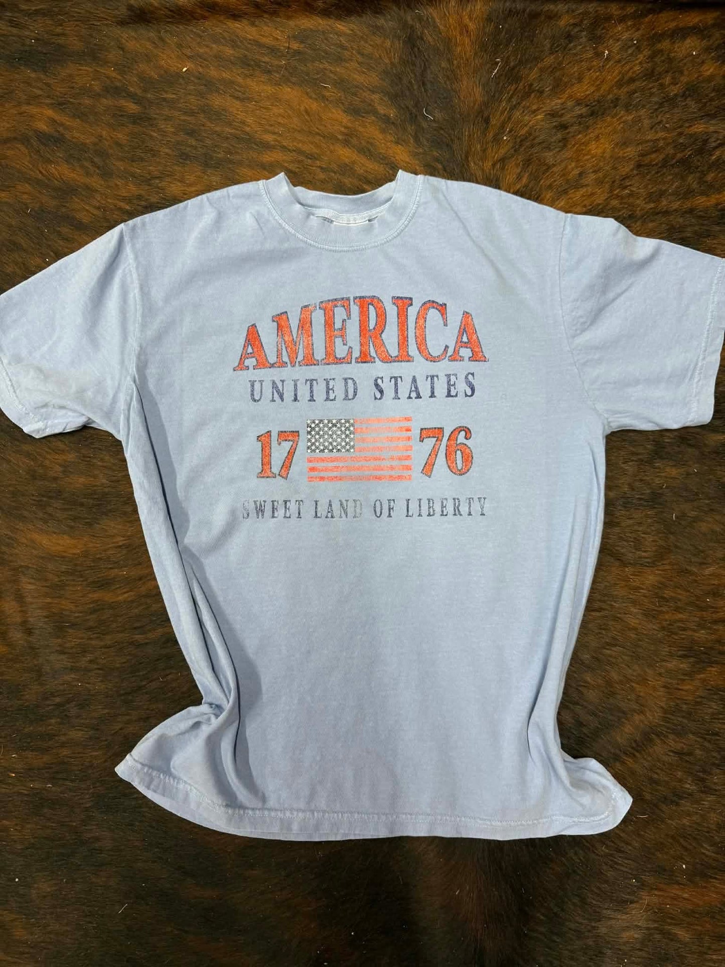 Rustic America 1776