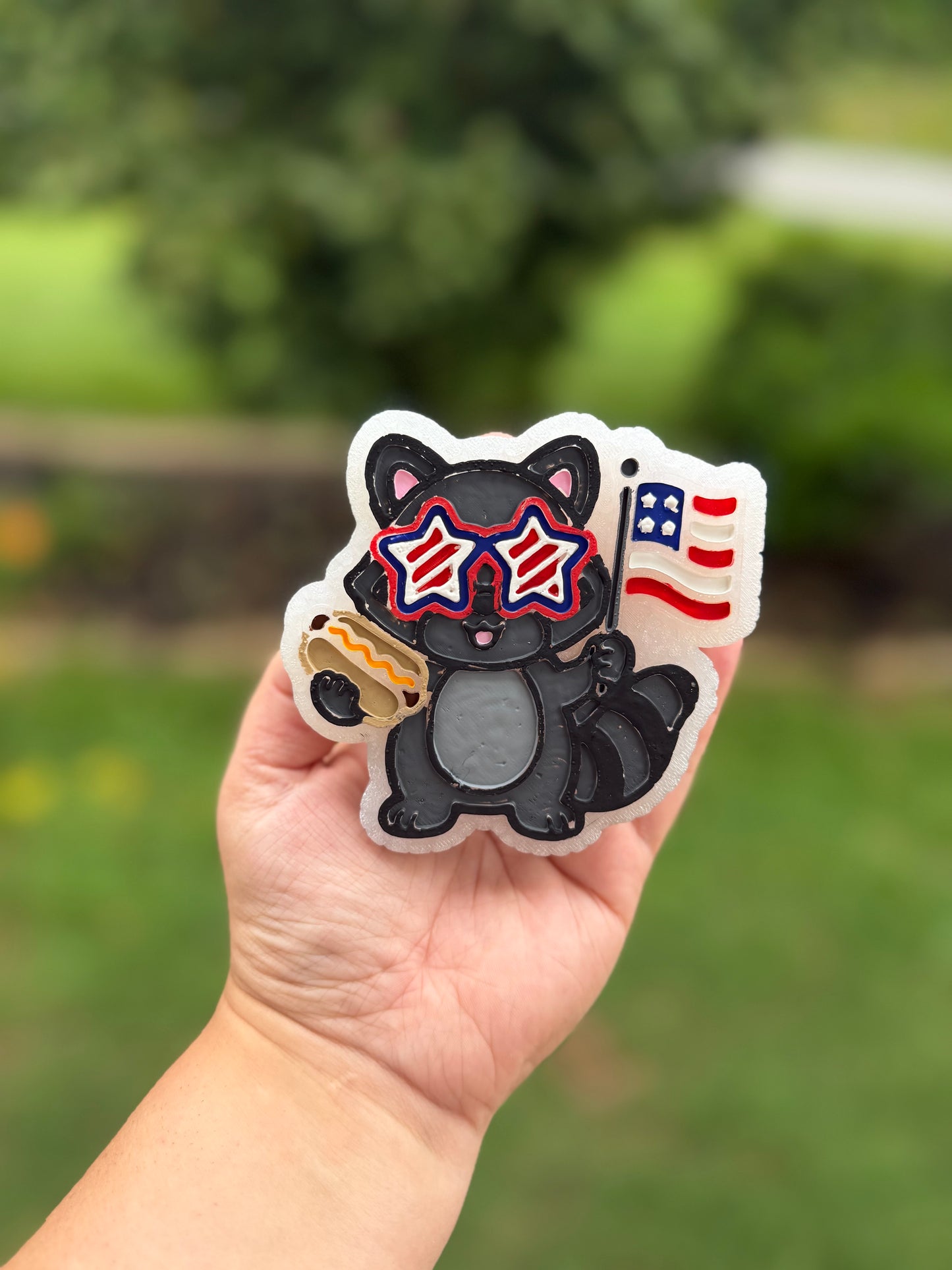 Patriotic Raccoon