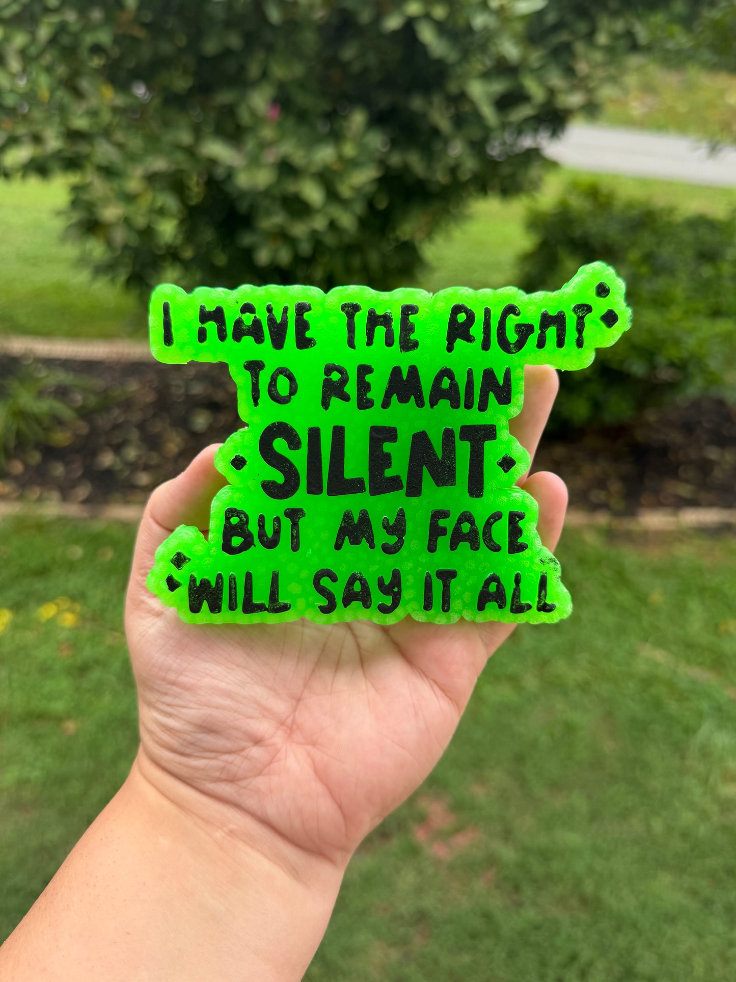 Remain Silent but My Face Will Say It